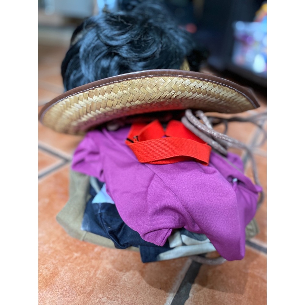 Coco Disney Movie Hector Costume